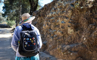 Top 4 Highlights From the GLP Tour